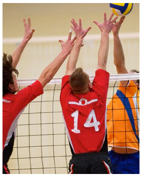 Sportpsycholoog Volleybal